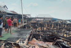 Diduga Korsleting Listrik 5 Rumah di Desa Simpang Tiga Tulung Selapan Hangus Terbakar