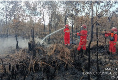 2 Hektar Lahan Gambut di Desa Petaling Kecamatan Tulung Selapan OKI Terbakar
