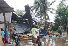 Tiga Desa di Kabupaten Banyuasin Roboh Diterjang Angin Puting Beliung