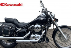 Kawasaki VN 800 Miliki Headlamp Mirip Semut, Diklaim Punya Tenaga yang Bengis! Ini Spesifikasinya