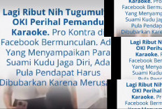 Wanita LC Rambah Desa Tugumulyo OKI, Para Suami Diminta Karaoke di Rumah Aja