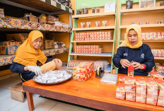 PT Bukit Asam Luncurkan Program BASIC untuk Mendorong Solusi Berkelanjutan di Indonesia
