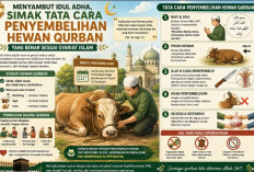 Menyambut Idul Adha, Simak Tata Cara Penyembelihan Hewan Qurban yang Benar Sesuai Syariat Islam