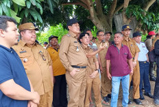 Bupati Pastikan Penataan Ayek Putih, Rencana Bangun Kolam Retensi