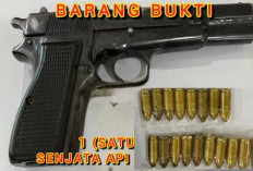 WAW, Pria di Sungai Lilin Ditangkap, Polisi Temukan Pistol dan 18 Amunisi