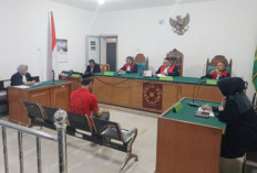 Vonis Spesialis Penjual Kucing Kuwuk di Palembang Tuai Sorotan, M Juanda Hanya Dihukum 6 Bulan Penjara