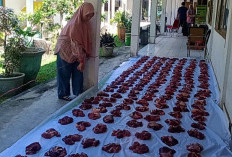 Ini Langkah yang Perlu Diketahui agar Daging Kurban tetap Awet Disimpan dalam Freezer