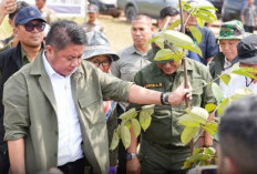 Tinjau Sriwijaya Science Techno Park di Ogan Ilir, Gubernur Sumsel Sebut Bukti Nyata Implementasi GSMP