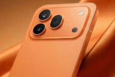 Honor 700 Pro Diperkirakan Bawa Layar Sekunder Permanen, Lebih Ditingkatkan dari Honor 600 Pro