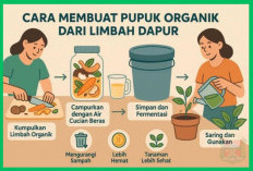 Begini Cara Buat Pupuk Organik Cair dari Sampah Dapur, Mulai Sekarang Jangan Buang Sisa Sayuran