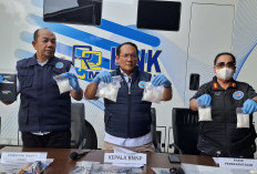 Sisir Titik Rawan Peredaran Narkoba di Talang Kelapa Banyuasin, BNNP Sumsel Sita 511g Sabu 22 Orang Diamankan