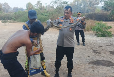 Lahan Kawasan Jakabaring Sport City Terbakar, Butuh 5 Jam Petugas Pemadam Gabungan Atasi 5 Titik Api