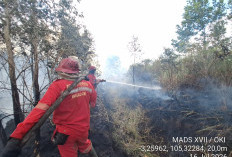 8 Hektar Lahan Gambut di Tulung Selapan Ilir Terbakar, Dibutuhkan Pemadaman Lanjutan