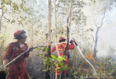 Pemadaman Karhutla di Kabupaten OKI Terkendala Sumber Air Jauh, Sehari 4 Kecamatan Lahan Terbakar