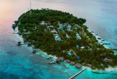 Viral Dijual di Medsos, KKP Bongkar Fakta Sebenarnya soal Pulau Umang