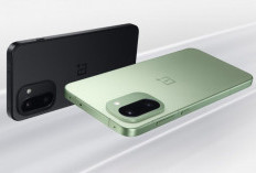 OnePlus 15R Hadirkan Pengalaman Visual Responsif dengan Layar AMOLED dan Refresh Rate 165 Hz