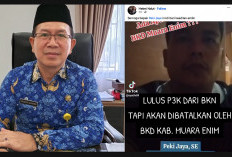 HEBOH, Dibatalkan Lulus PPPK Peki Jaya Ungkap Ada Surat Kadishub Dirinya Aktif Bekerja