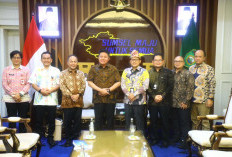 Gubernur Herman Deru Tegaskan Komitmen Pelayanan Kelistrikan Merata di Sumsel