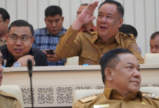Demi Kesejahteraan Masyarakat, Wagub Sumsel Dorong Optimalisasi Lahan Rawa untuk Pertanian