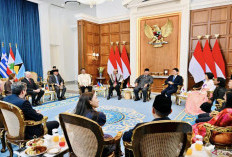 Prabowo Terima 8 Dubes Baru Negara Sahabat