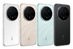 Honor Magic 8 Pro Disupport Layar LTPO OLED dengan Kecerahan 6000 Nits