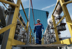 Produksi Minyak Pertamina EP Naik Sepanjang 2025, Tembus 27.643 Barel per Hari