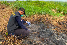 Polres OKI Buru Jejak Api di Ulak Kemang Baru, Labfor Ambil Sampel Abu