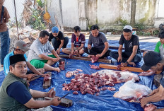 Keluarga Besar PN Palembang Kurban 4 Ekor Sapi, Wujud Nyata Solidaritas Sosial Antar Sesama