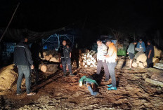 Pamapta Polres Ogan Ilir & Unit Identifikasi Lakukan Olah TKP Pembunuhan, Identitas Pelaku Berhasil Dikantongi