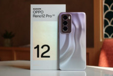 3 HP Mid Range Menawarkan Mampu Rekam Video Profesional, Ada OPPO Reno 12 Pro 5G
