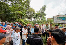 PN Kayuagung Tolak Gugatan Hutan Kota yang Diklaim Milik Perorangan