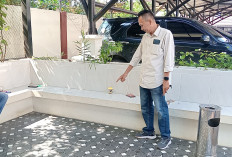 Wartawan di Banyuasin Ditusuk Keluarga Korban Tawuran di Halaman Pengadilan Negeri Pangkalan Balai