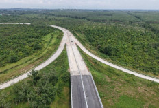 Progres Konstruksi Jalan Tol Palembang-Betung Capai 81,99 Persen, Hutama Karya Dorong Percepatan Pembangunan