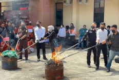 Puluhan Tersangka Diamankan, Polda Sumsel Musnahkan Sabu, Ekstasi dan Ganja