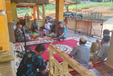 Buka Peluang Ekonomi Baru, Selain Cocok dengan Tanah Lokal Untuk Pengembangan Bioavtur