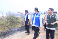 Gubernur Sumsel dan Wamen LH Turun ke Lokasi Lahan Gambut yang Terbakar, Pastikan Penanganan Karhutla