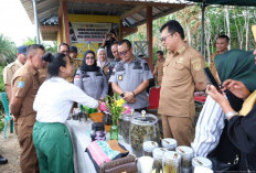 Teh Tayu Jebus Resmi Jadi Indikasi Geografis, Kebanggaan Baru Bangka Barat