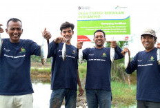 Dengan Energi Transisi, Pertamina Bangun Desa Rentan Jadi Resisten