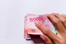 11 Rekomendasi Pinjol Bungan Rendah yang Aman dan Terdaftar di OJK: Cuma dengan Syarat KTP, Langsung Cair