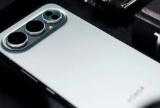 HP Honor 500 Pro Muncul sebagai 'HP Sultan Harga Rumahan' Ini Bocoran Spesifikasinya! 