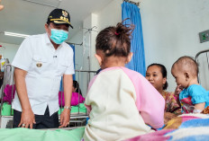 Bupati Muba Cek Dampak Asap Karhutla, Fasilitas Kesehatan Disiagakan