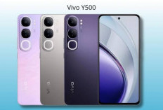 Vivo Y500 Mengusung Layar Panel AMOLED dengan Kecerahan 1800 Nits