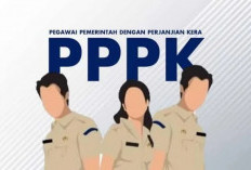 Kota Ini Anggaran Sudah Siap, CPNS dan PPPK 2024 Segera Dilantik, Kabupaten/Kota Lain! 