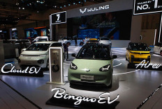 Jangan Terpancing Promo Terbaru, Insentif Pajak Mobil Listrik Sudah Tamat, Ini Harga Realnya