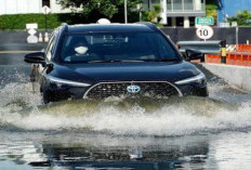 5 Jurus Ampuh Hindari Mogok Saat Mobil Terjang Banjir: Trik Mengendarai Anti-Karam