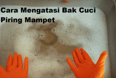 Cara Mengatasi Saluran Air Bak Cuci Piring yang Tersumbat Lemak Tanpa Panggil Tukang