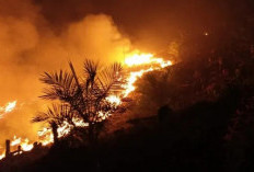 Alat Pemadam Sulit Jangkau Titik Api di Gunung Megang, Akses Menuju Lahan Terjal & Sumber Air Mengering 
