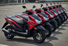 Beragam Pilihan Warna FreeGo 2026, Tampil Keren Hitam Dominan Plus Red Cocok Buat yang Suka Look Bold & Modern