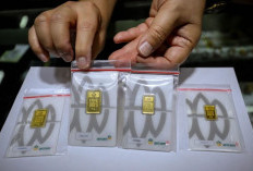 Update Harga Emas Antam Hari Ini, Jumat 14 Agustus 2026: 1 Gram Tembus Rp2,8 Juta