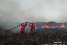 Petugas Manggala Agni Padamkan Api yang Hanguskan Hektaran Lahan di Jejawi OKI 